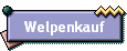 Welpenkauf